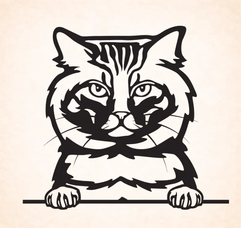 Amerikaanse bobtail