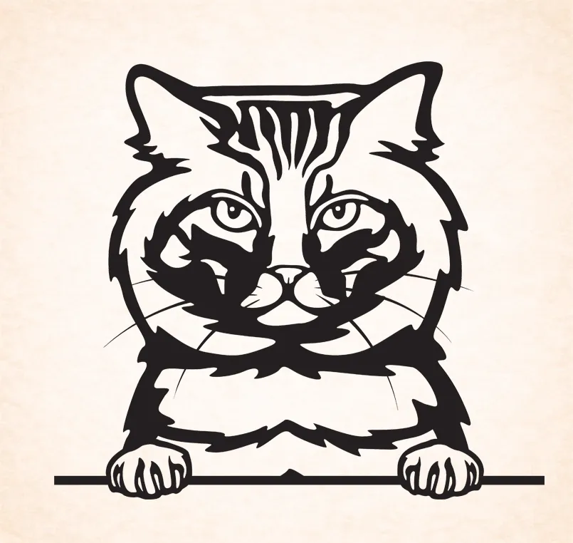 Amerikaanse bobtail