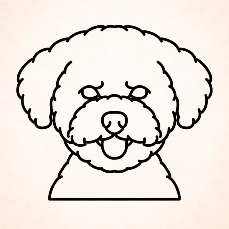 Bichon Frise