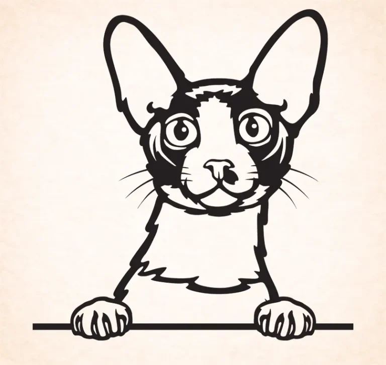 Cornische Rex – Devon Rex