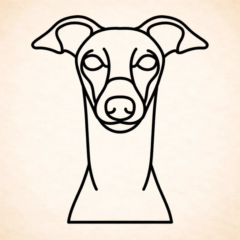 Greyhound