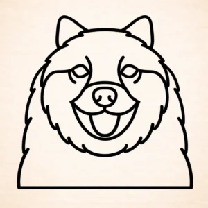 Keeshond