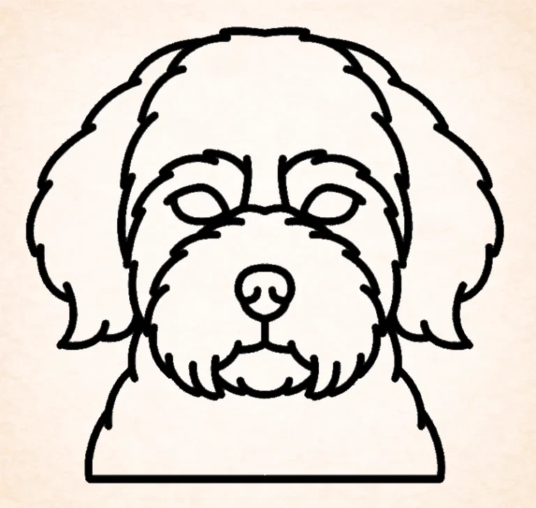 Maltipoo
