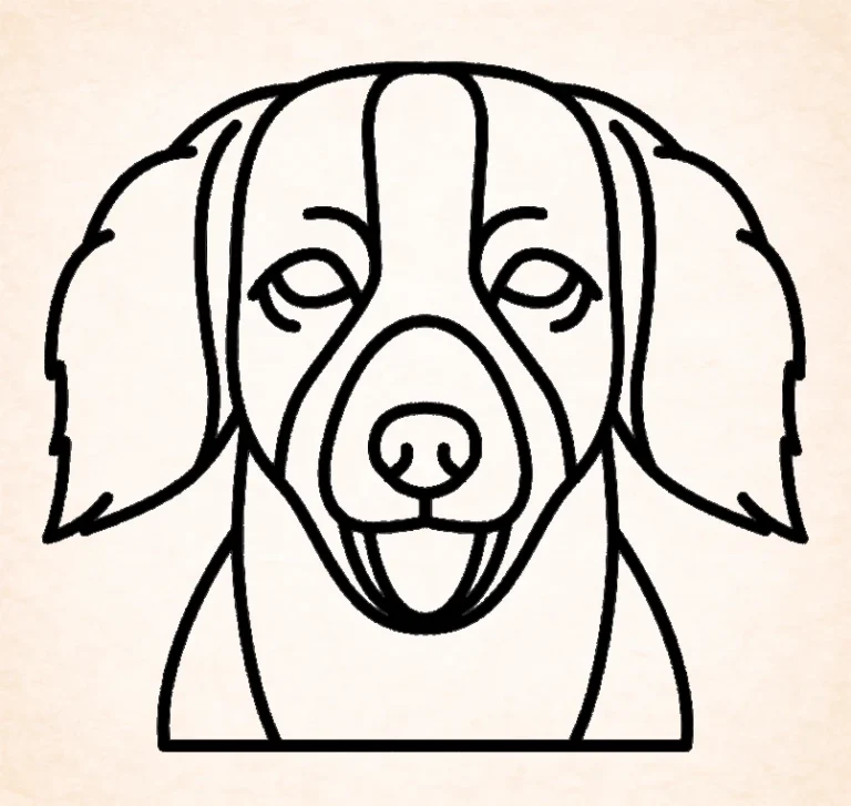 Nederlandse kooikerhond