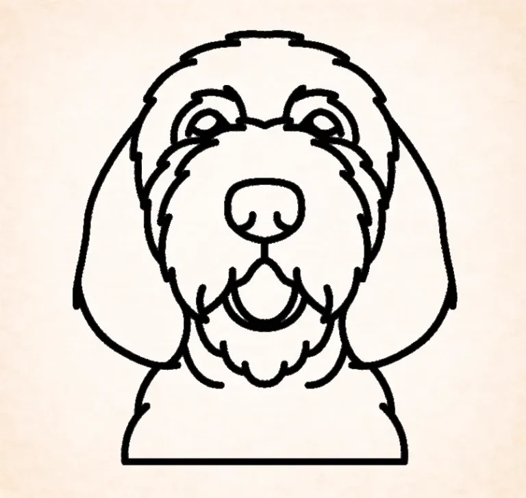 Otterhound