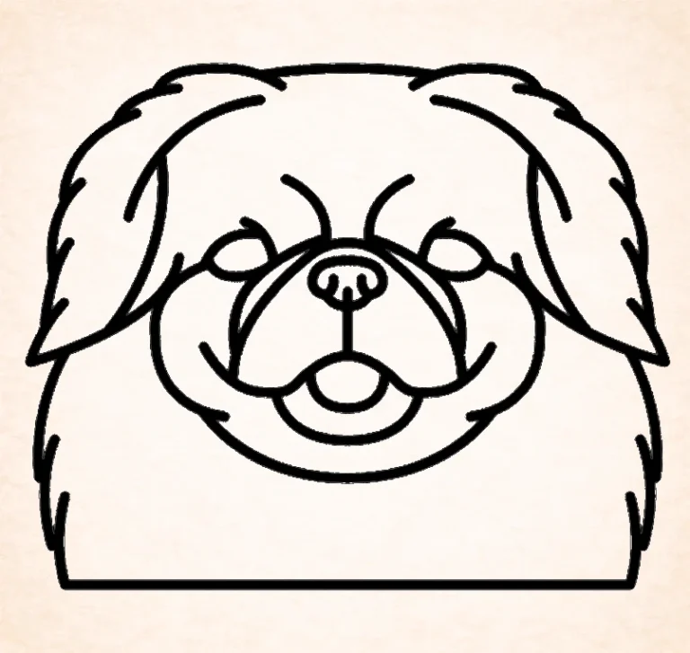 Pekingese