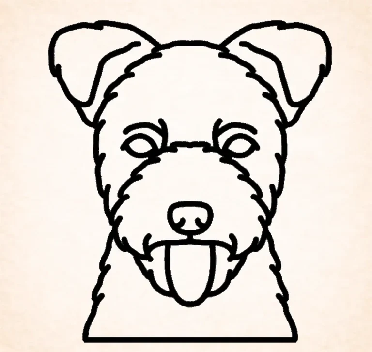 Pumi