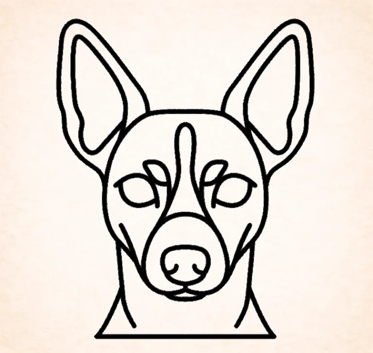 Rat terrier