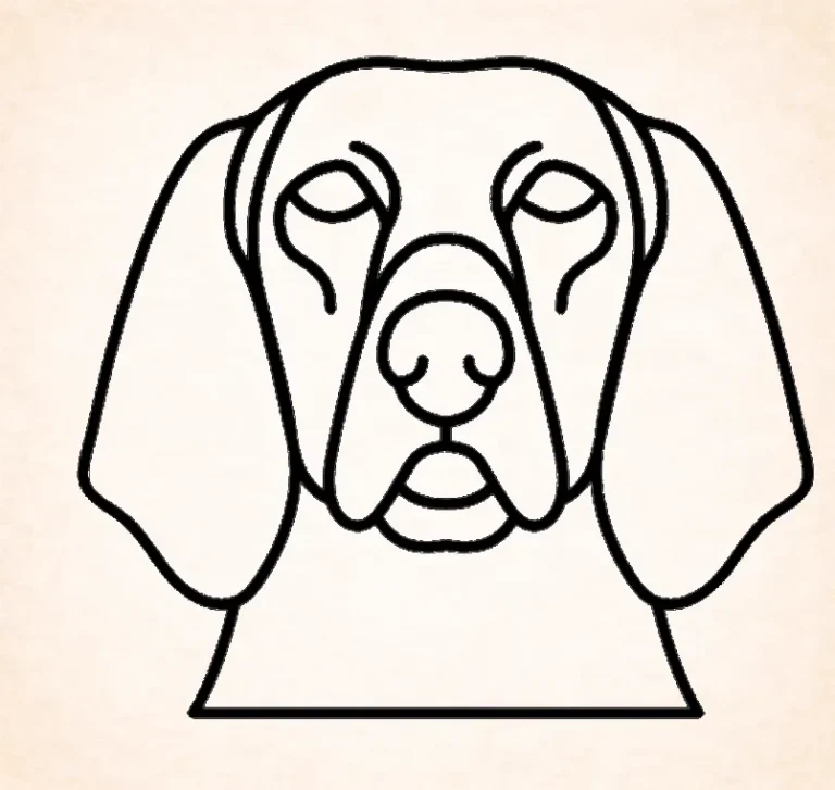 Redbone Coonhound