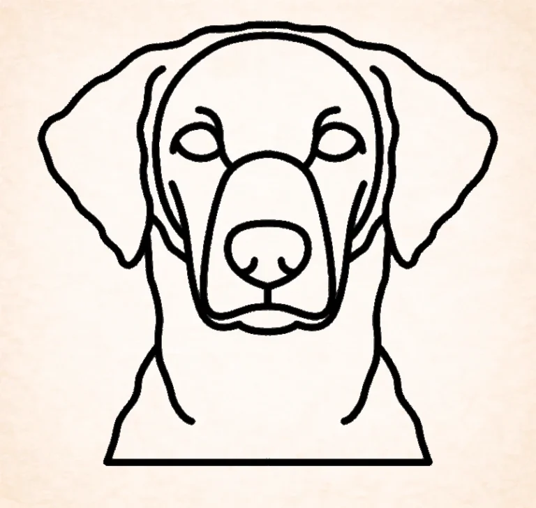 Retriever (Curly-Coated)