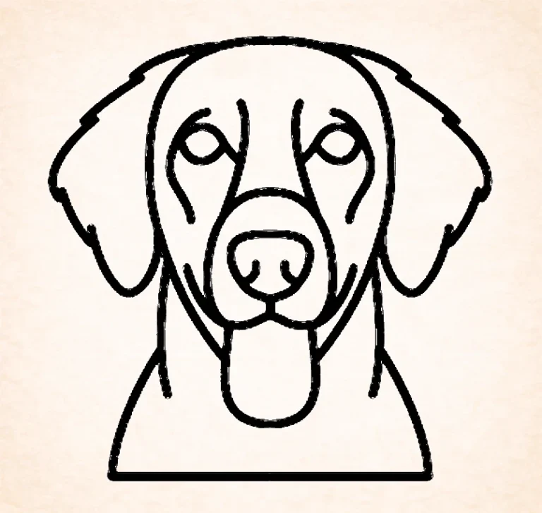 Retriever (Flat Coated)