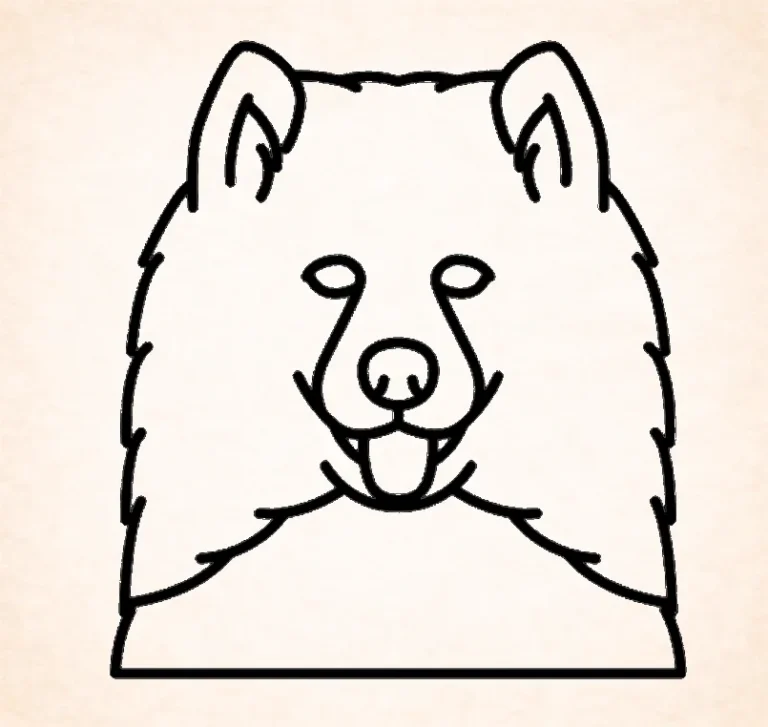 Samoyeds
