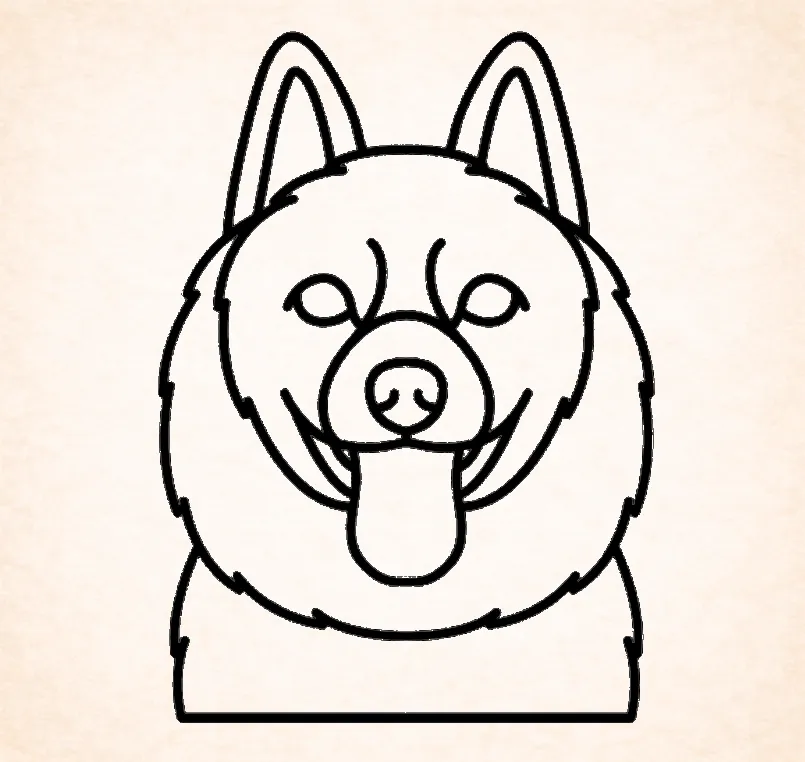Schipperkes