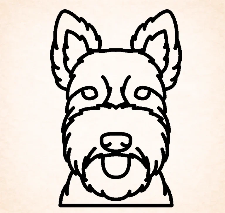 Schotse terrier