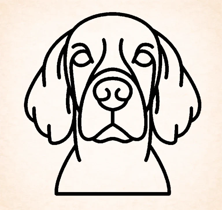 Setter (Ierse)