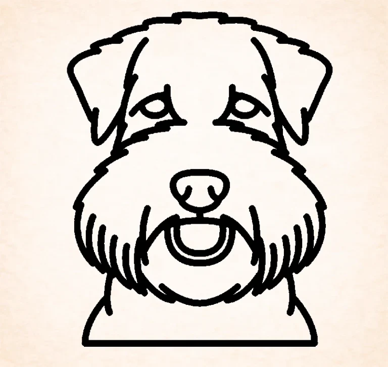 Soft Coated Wheaten terrier