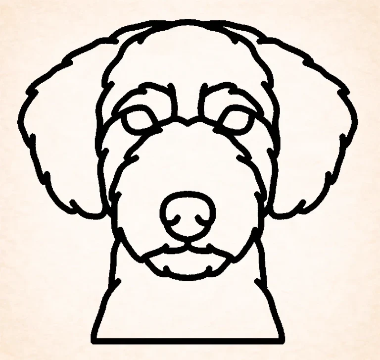 Spaanse waterhond
