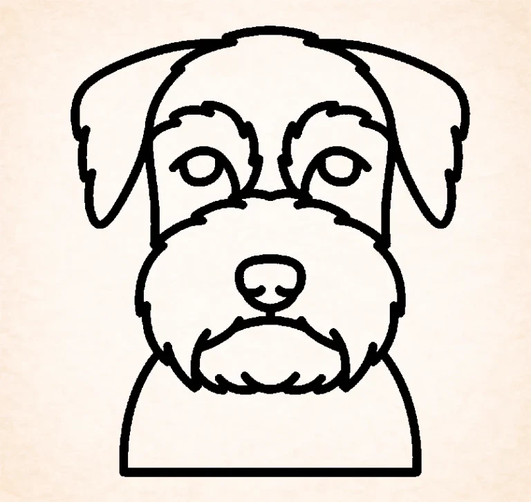 Standaard Schnauzer