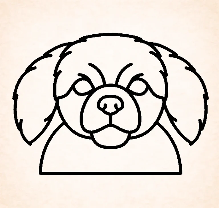 Tibetan Spaniel