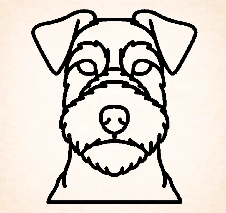 Welsh terrier